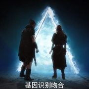 点击查看图片 百慕大星际流浪者