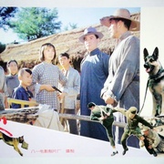 点击查看图片 犬王
