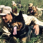点击查看图片 犬王
