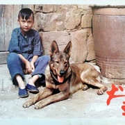 点击查看图片 犬王