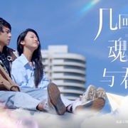 几回魂梦与君同