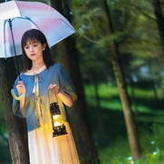 点击查看图片 你的岛屿已抵达