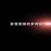 点击查看图片 激情燃烧的岁月3