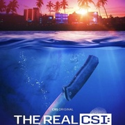 真实犯罪现场调查：迈阿密 The Real CSI: Miami