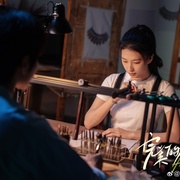 完美的她