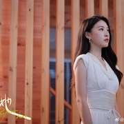 完美的她