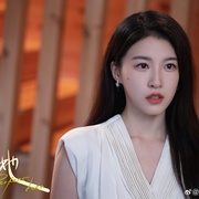 完美的她