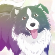 点击查看图片 爱犬指令 ドッグシグナル