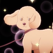 点击查看图片 爱犬指令 ドッグシグナル