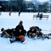 点击查看图片 野鸭变凤凰 The Mighty Ducks