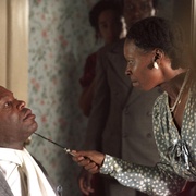 紫色 The Color Purple