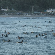 点击查看图片 竹岛冲浪日记 죽도 서핑 다이어리