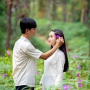 碧瞳 Mắt biếc