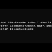 人鱼