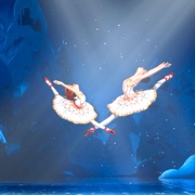 了不起的菲丽西 Ballerina