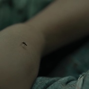 点击查看图片 于特岛7月22日 Utøya 22. juli