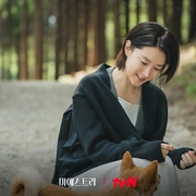 点击查看图片 大指挥家: 弦上的真相 마에스트라