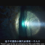 点击查看图片 潜水 The Dive