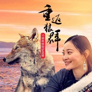 点击查看图片 重返狼群——10周年纪念版