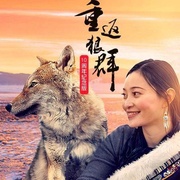 点击查看图片 重返狼群——10周年纪念版