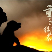 点击查看图片 重返狼群——10周年纪念版