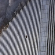 点击查看图片 911:生命的坠落 9/11: The Falling Man
