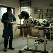 犬舍惊魂 Dogman