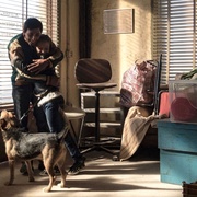 犬舍惊魂 Dogman