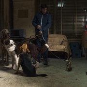 犬舍惊魂 Dogman