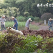 点击查看图片 隐者山河