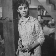 点击查看图片 安妮少女日记 The Diary of Anne Frank