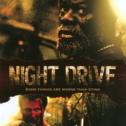 夜间旅行团 Night Drive