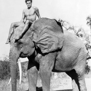 点击查看图片 人猿泰山 Tarzan the Ape Man