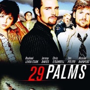 点击查看图片 29片棕榈叶 29 Palms