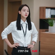 隐秘的监察 은밀한감사