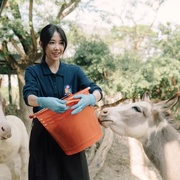 动物园 動物園