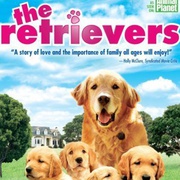 点击查看图片 流浪犬 The Retrievers