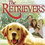 点击查看图片 流浪犬 The Retrievers