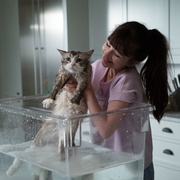 点击查看图片 九条命 Nine Lives