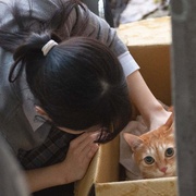 果实 果實