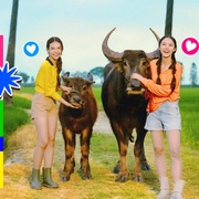 点击查看图片 乡村罗曼史 คุณแฟนบ้านนอก