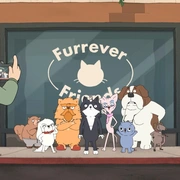 点击查看图片 小猫凯文 Kevin