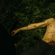 哈里·布朗 Harry Brown