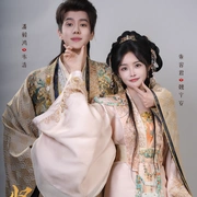 贤婿之憨婿