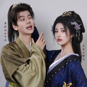 贤婿之憨婿
