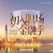 点击查看图片 初入职场·金融季