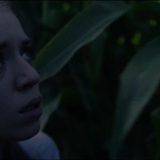 点击查看图片 稻草人 Scarecrows