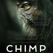黑猩猩帝国 Chimp Empire