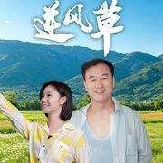 点击查看图片 逆风草