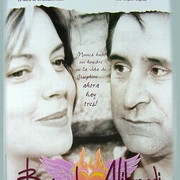 点击查看图片 寻找阿拉布兰蒂 Looking for Alibrandi